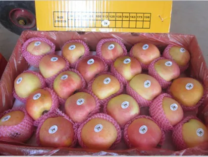 Fresh Gala Apple