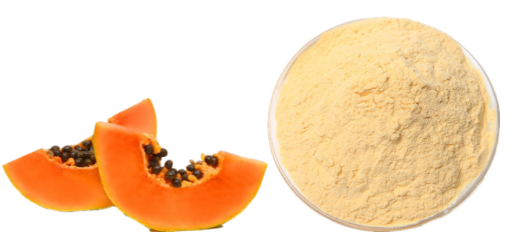 Papaya Powder