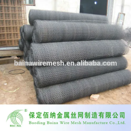 Lowest Price Electrical Galvanized Chicken Wire Mesh