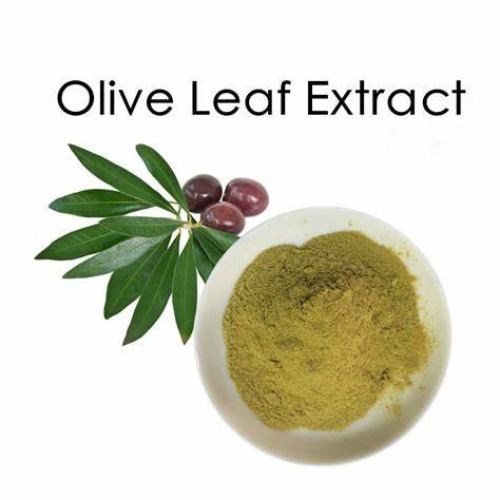 Pure Olive Leaf Extract Powder