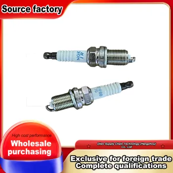 19mm Thread Double Platinum Plug