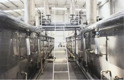 Mesh-Belt Dryer for Particle Shape Material