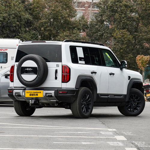 Vehicul off-road BYD Formula Leopard 5