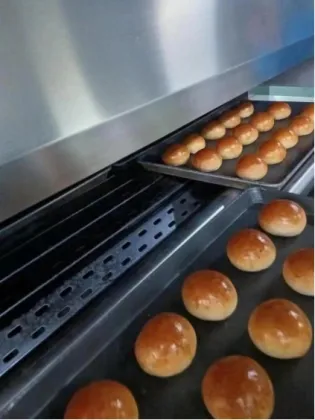 Customized Automatic Gas Tunnel Oven for Bakery and Food Production