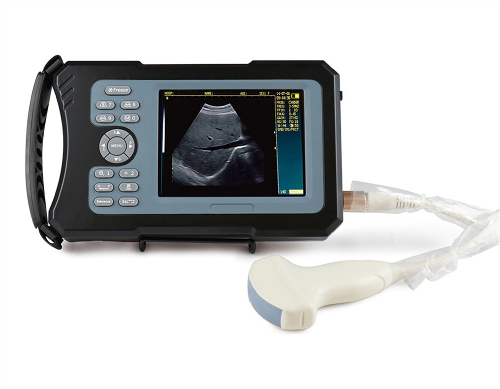 Veterinary Pregnancy B/W Ultrasound Equipment for Cat