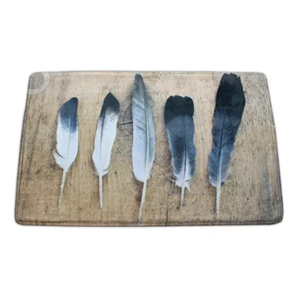 Feather PVC door mat