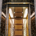 APSL Irregular Golden Stitching Passenger Elevator