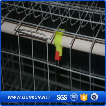 Frame Chicken Farm Equipment 3 Tiers 4 Doors 96 Capacity