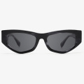 Colored Pattern Acetate Sunglasses