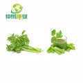 Bulk Dried Celery Powder