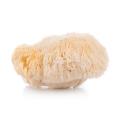 Hericium Erinaceus Powder Lion's Mane Mushroom Extract