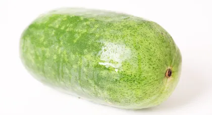 Winter melon powder bulk