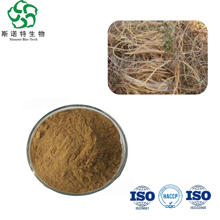 Pure Natural Gentiana Scabra Extract 10: 1