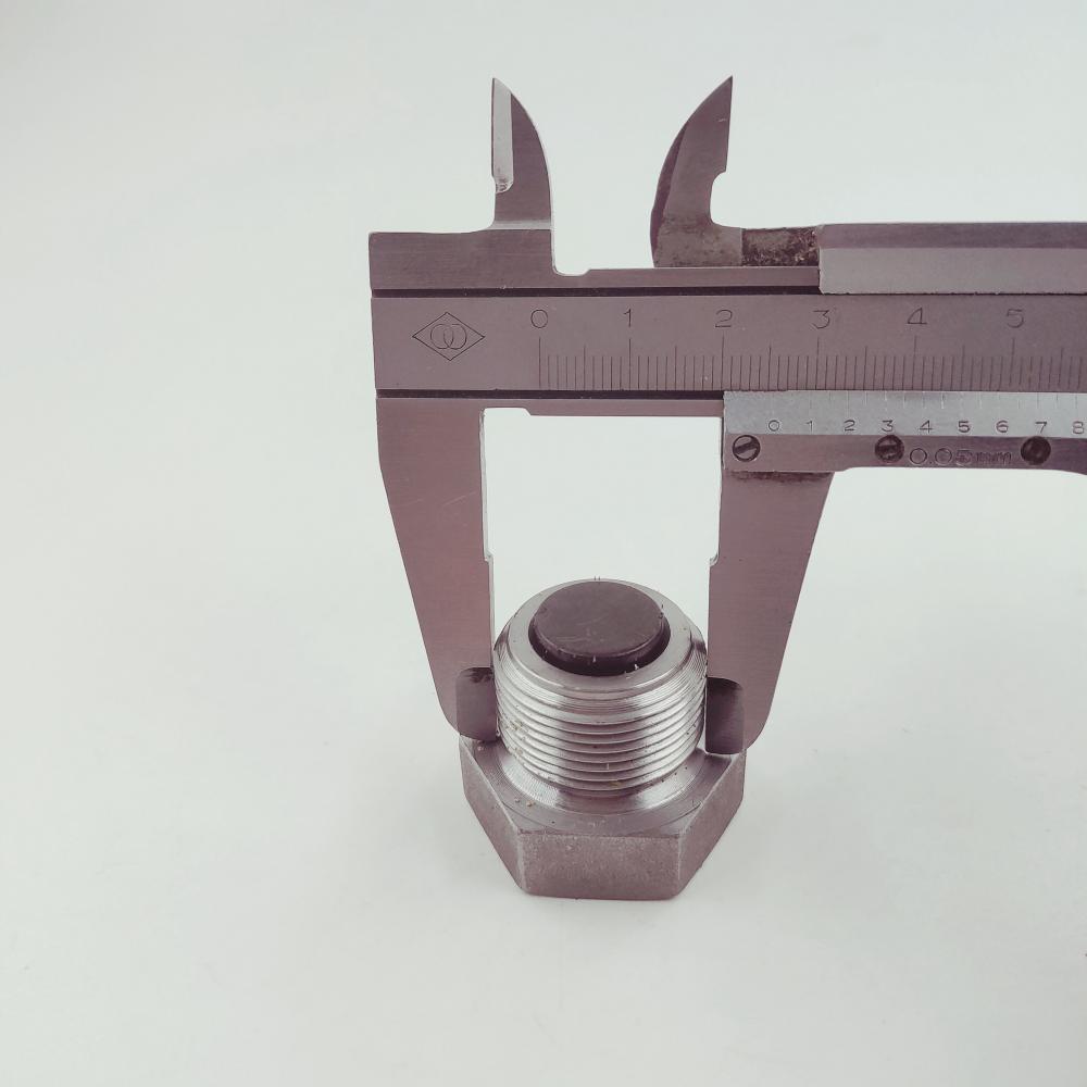 Threaded Plug 3055069