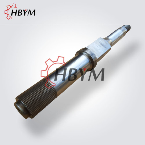 High Quality Schwing Parts Rock Valve Slewing Shaft