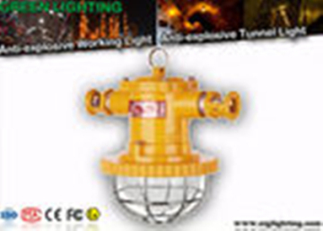 IP67 Led Tunnel Lighting Explosion Proof