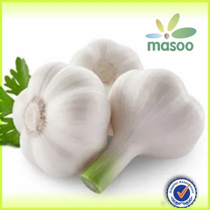 Kyolic garlic/ High quality garlic