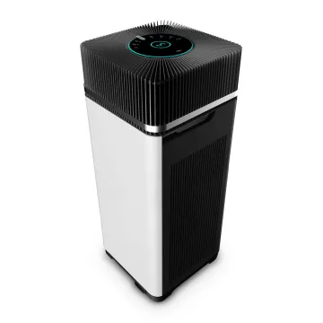 Remove Filter Freshener Ionic air purifier cleaner