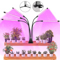 Full Spectrum LED Aquarium Plant Lighting