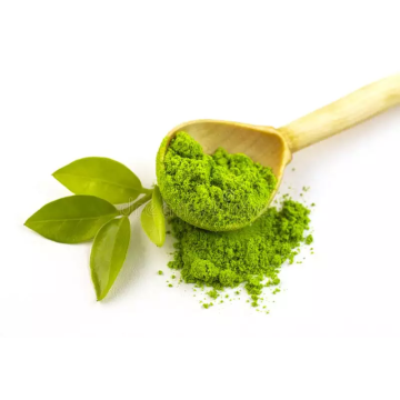 Greens powder Matcha Powder bulk