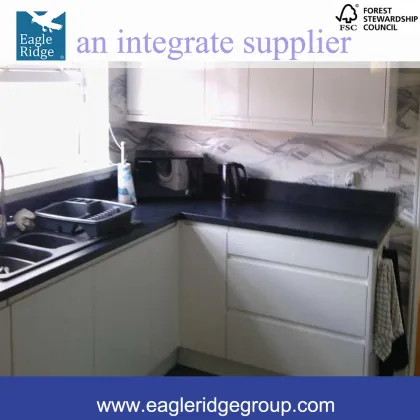 Flat pack kitchen cabinets, Modular Kitchen cabinets, Contemporary Kitchen Cabinets RTA-K1300