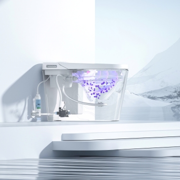 Luxury White Dual Flush Smart Toilet with Porcelain Siphonic Bidet