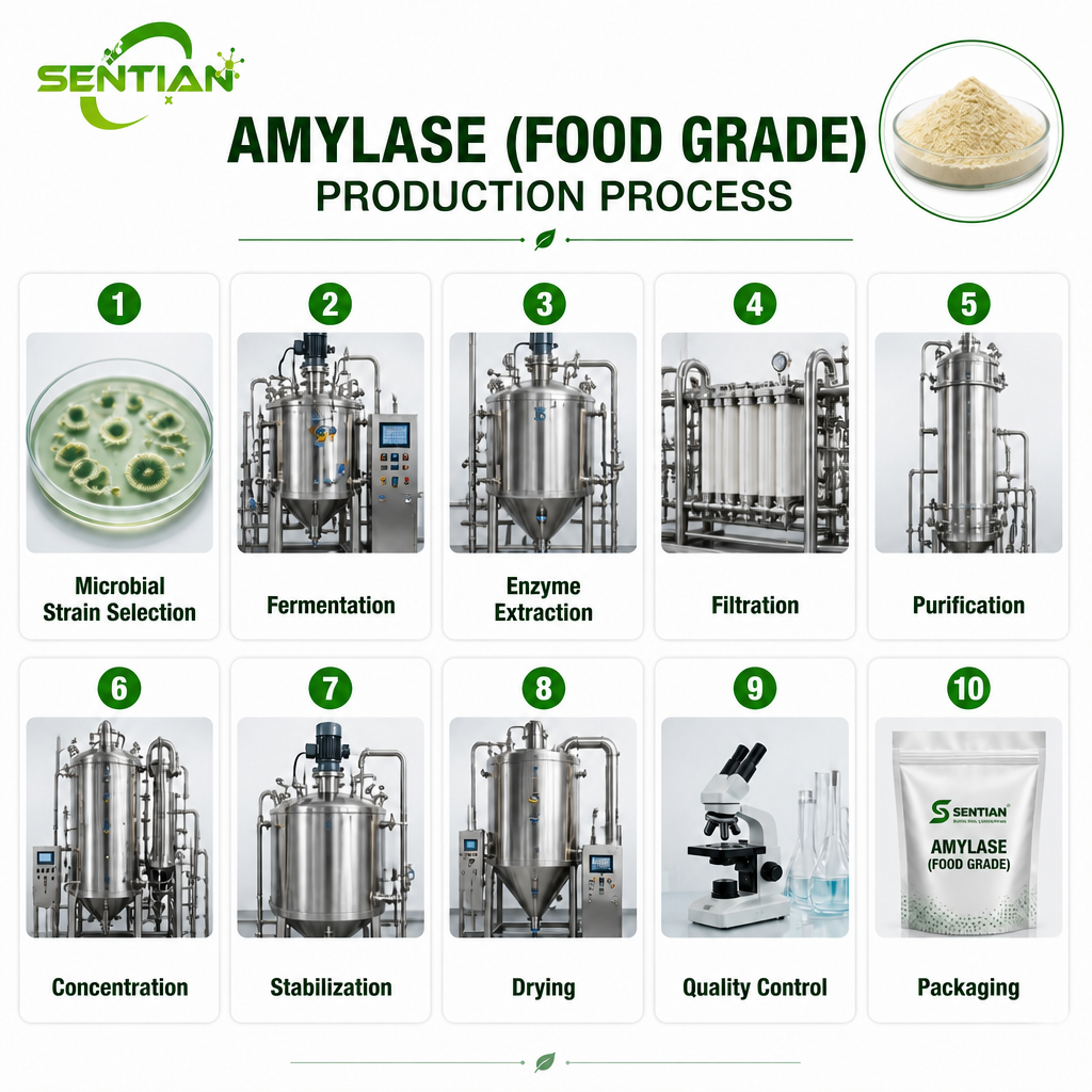 Amylase (Food Grade)1