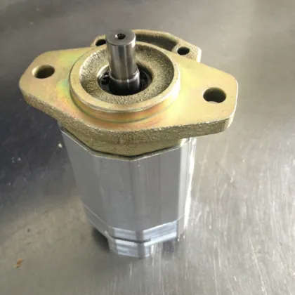 Bosch Rexroth pump,Rexroth gear pump and motor