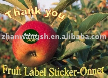 Self Adhesive Fruit Sticker, fruit juice label, fruit label