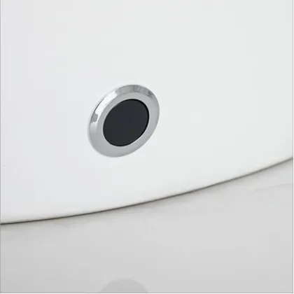 Smart Bidet Toilet Seat