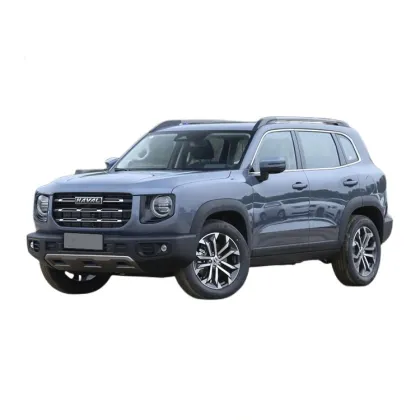 Havel Big Dog Gas Car Used Car 2021 Vehicle Gas Supply Automobile After Sales Available
