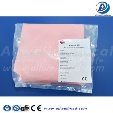 Disposable cleaning delivery kit for medical supplies