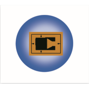 Strain Gage with One Grid