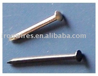 Polished Common Nail