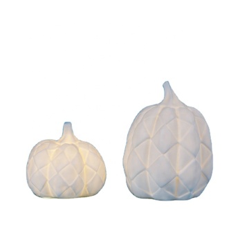 Rustic Harvest White Artificial Pumpkins for Halloween and Thanksgiving Decor