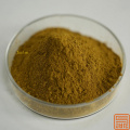 Extracto de hoja de oliva oleuropein 40%