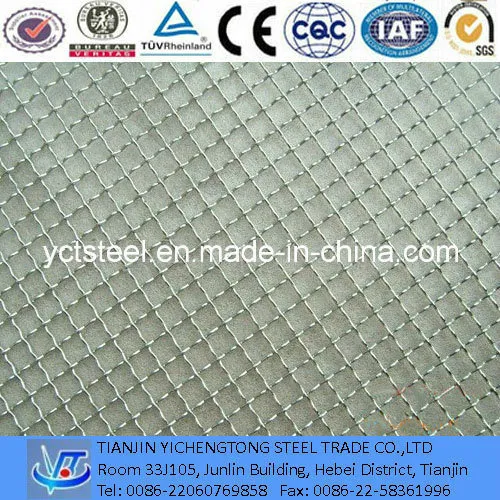HDG Steel Wire Mesh for Construction, Protection