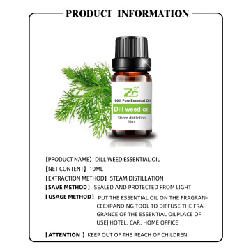 Wholesale Price Dill Weed Oil Organic