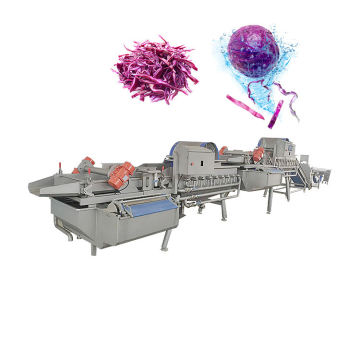 Aloe Vera Ultrasonic Vegetable Washer: Cleaner Device for Fruit and Vegetable Cleaning