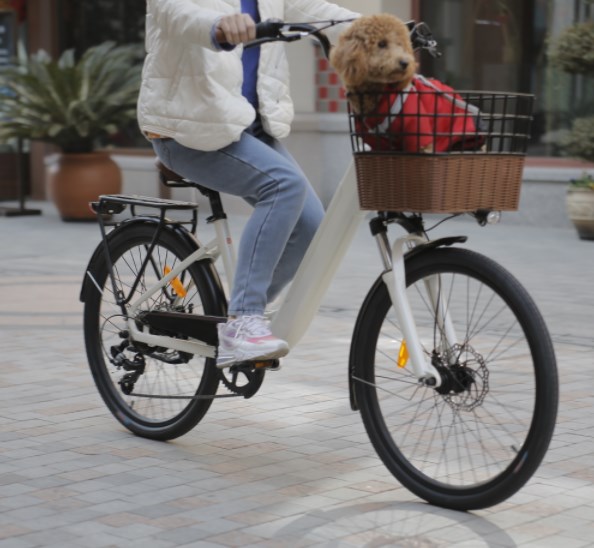Latest E Bikes Latest E Bikes