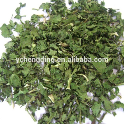 New products 2015 innovative product dehydrated coriander