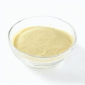 Pineapple Extract Powder Freeze Dried