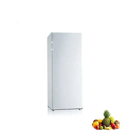 235L Cheap Price Hotel and Office Use Vertical Freezer: Deep Fridge Freezer