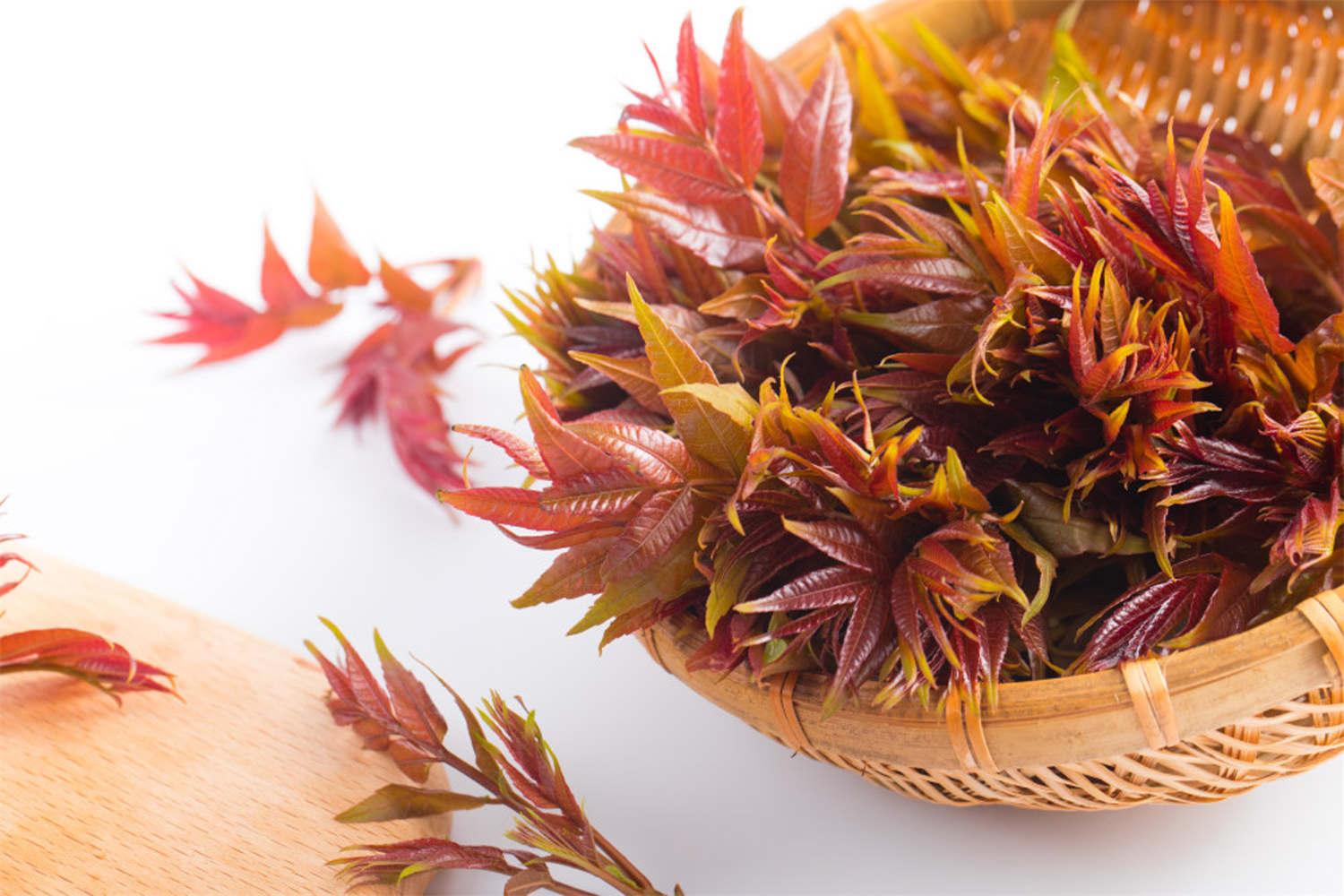 Toona sinensis extract