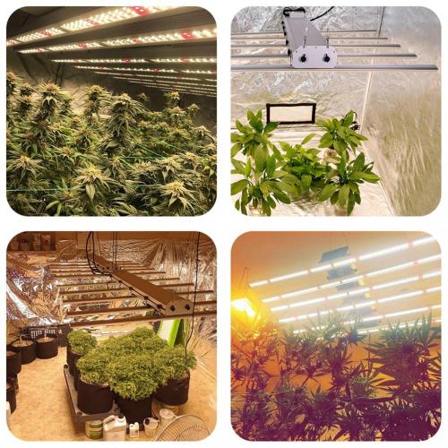 Günstige Grow Lights für Zimmerpflanzen 400 Watt