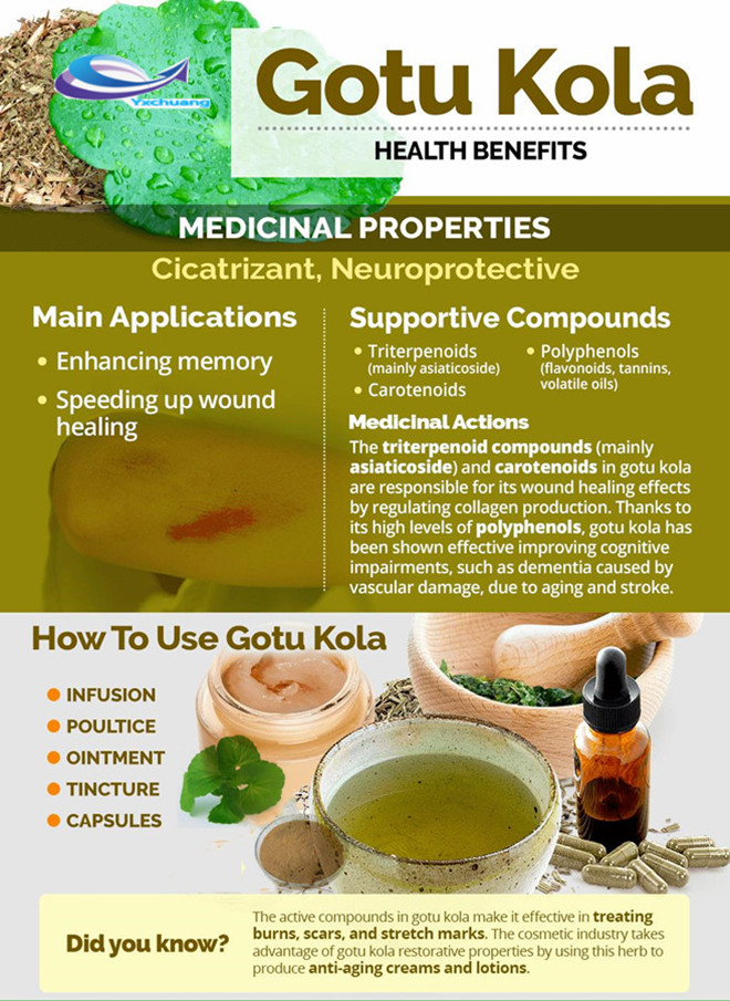  gotu kola extract dosage