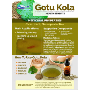 Gotu Kola Extract Powder Used For powder 10:1