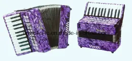 Piano Accordion (LAC2512)
