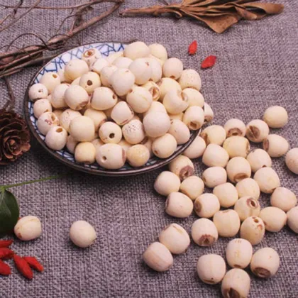 Chinese Wholesale Organic Slimming Healthy Lotus Seeds Tea