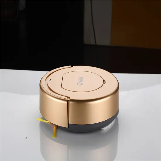 Innovative New Style Mopping Robot